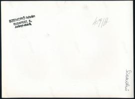 cca 1930-1940 Szendrő István (1908-2000): Balatoni jéghalászat, pecséttel jelzett fotó, 22,5x17 cm