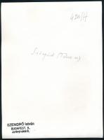 cca 1930-1940 Szendrő István (1908-2000): Sióagárdi népviselet (Gyöngyösbokréta mozgalom), a hátolda...