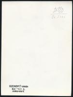 cca 1930-1940 Szendrő István (1908-2000): Balerina ugrás közben, pecséttel jelzett fotó, 22,5x17 cm