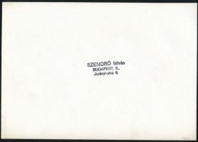 1945 Szendrő István (1908-2000): Budapest, a romos Erzsébet-híd, pecséttel jelzett fotó, 23,5x16,5 c...