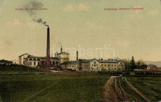 Zywiec brewery (EK)