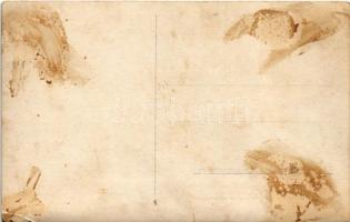 Szépségverseny Kolozsvár, Pozsony, Nagyvárad, Szabadka, Arad, Kassa, Fiume képviseletével, irredenta...