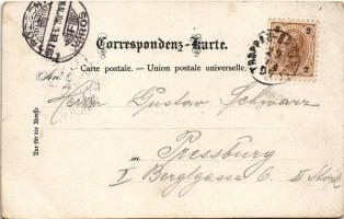 1897 (Vorläufer!) Opava, Troppau; Gesammtbild, Museum, Rathaus u. Sparkassa, Landesregierung u. Mino...