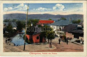 1920 Campina, Vedere din Poiana (EK)