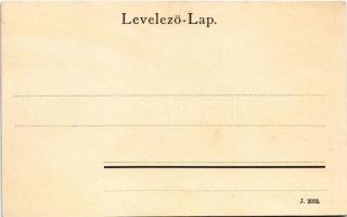 Miskolc, Erzsébet izraelita (zsidó) elemi iskola. Ferenczi B. kiadás, Art Nouveau, floral