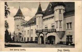 Nagykároly, Carei; Gróf Károlyi kastély / castle. Csókás László kiadása (r)