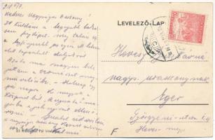 1918 Kisjenő, Kis-Jenő, Chisineu-Cris; József főhercegi kastély. Rosenthal Pál kiadása / castle