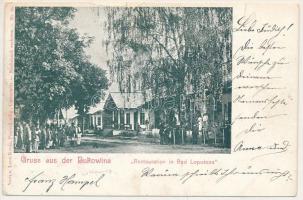 1902 Lopuschna, Lopusna, Lapusna, Lopuszna (Bukovina, Bucovina, Bukowina); Restauration in Bad Lopuszna / spa restaurant. Verlag Leon König (Czernowitz) (tear)