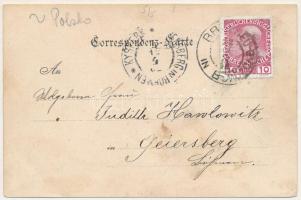 1902 Lopuschna, Lopusna, Lapusna, Lopuszna (Bukovina, Bucovina, Bukowina); Restauration in Bad Lopus...