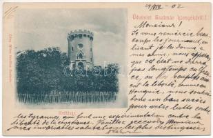 1902 Erdőd, Károlyierdőd, Ardud (Szatmár); Erdődi vár. Löwy Miksa kiadása / Cetatea Ardud (Castelul Károlyi) / castle, tower