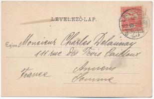 1902 Erdőd, Károlyierdőd, Ardud (Szatmár); Erdődi vár. Löwy Miksa kiadása / Cetatea Ardud (Castelul ...