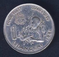 Sváziföld 1981. 250F "FAO" T:2 kis ph