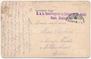 1915 Kolozsvár, Cluj; Megyeház, Központi szálloda, Medgyesy és Nyegrutz és Biasini Sándor üzlete. Sc...