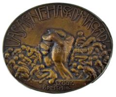 1919. "Vasas ne hagyd magad!" bronz sapkajelvény Szign.: Sződy Szilárd (43x52mm) T:AU  Hungary 1919. "Vasas ne hagyd magad! (Ironworker do not let yourself!)" bronze cap badge. Sign.: Szilárd Sződy (43x52mm) C:AU