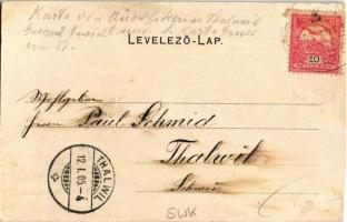 1905 Pozsony, Pressburg, Bratislava; Dunai ingahajó és vár. Fecskés üdvözlet, Bediene dich allein / ...