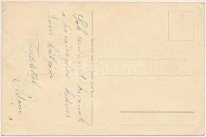 Pozsony, Pressburg, Bratislava; Irredenta művészlap. Szeiler féle Patent dombornyomott fémplaketten ...