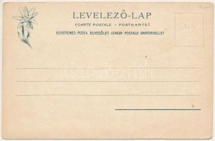 Felka, Velká (Poprád, Tátra, Magas-Tátra, Vysoké Tatry); Fürdőház Krompecher E.M. fiai turistatelepé...