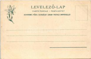 Tátra, Magas-Tátra, Vysoké Tatry; Der Polnische Kamm m. d. kleinen Visoka / Lengyel-nyereg a Kis-Vis...