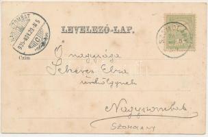 1905 Szomolány, Smolenice; várrom, utca. Elvira fényképészeti műintézet kiadása / castle ruins, stre...