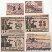 Németország / Weimari Köztársaság / Boltenhagen + Blumenthal 1921. 10pf-75pf (6xklf) T:UNC,AU German...