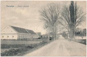 Tornalja, Tornallya, Safárikovo, Tornala; Fasor részlet / street view (EB)