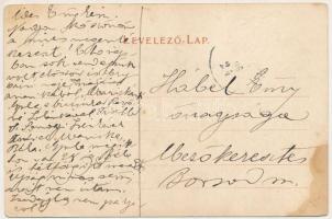 Buzinka, Saca (Kassa, Kosice); Dr. Semsey Andor kastély. Nyulászi Béla kiadása / castle (Rb)