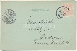 1898 (Vorläufer) Alsókubin, Dolny Kubín (Árva, Orava); Üdvözlet Árvából. Árva-völgy, Alsó-Kubin, Árv...