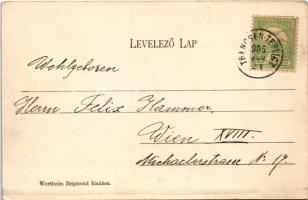 1905 Trencsénteplic, Trencianske Teplice; Sétatér. Wertheim Zsigmond kiadása / Promenade / spa prome...