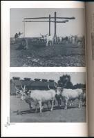 Vörös Éva: Erdélyi Mór fotográfiái az Eredeti Fényképek Gyűjteményében. Photographs by Mór Erdélyi i...