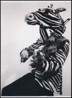 cca 1938 Horna Kati (1912-2000) magyar származású mexikói fotóriporter, szürrealista fotográfus alkotása (Hegedülő zebra), a néhai Lapkiadó Vállalat központi fotólaborjának archívumából 1 db modern nagyítás, jelzés nélkül, 21x15 cm