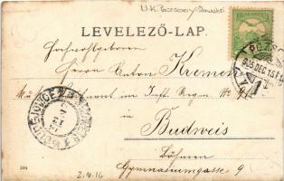 1905 Pozsony, Pressburg, Bratislava; Hal tér, zsinagóga, kávéház, Szentháromság szobor / square, syn...