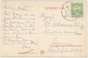 1911 Alsógyertyán, Alsógyergyán, Alsó-Hrabócz, Nizny Hrabovec; Ujfalusi kúria, Malonyai kastély / ca...