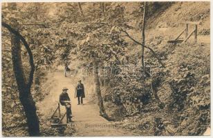 1911 Besztercebánya, Banská Bystrica; Szerpentin út. Machold F. kiadása / road (kopott sarok / worn corner)