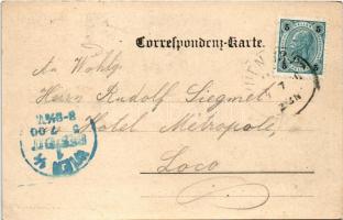 1900 Wien, Vienna, Bécs XIII. Hacking, Hotel Auhof und Cafe Restauration, Speise Salon, Hotel Garten...