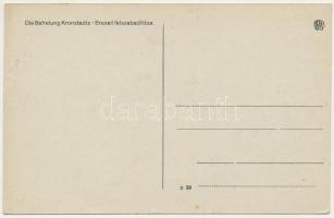 1916 Brassó, Kronstadt, Brasov; Die Befreiung Kronstadts, Die erbeuteten rom. Geschütze vor dem Rath...