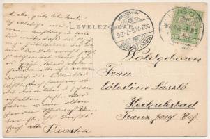 1908 Lugos, Lugoj; Dr. Neumann-féle ház, Lugosi Magyar Dal és Zene Egyesület, Forka Antal üzlete / D...