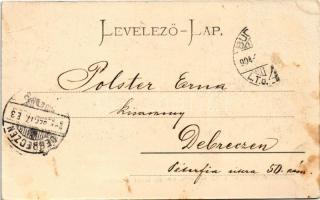 1904 Torda, Turda; Széchenyi liget a 13 vértanú emlékfával / park, memorial trees of the 13 Martyrs ...