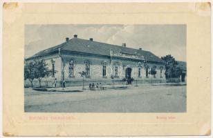 1916 Pankota, Pancota; Községháza. W.L. Bp. 5424. / town hall (Rb)