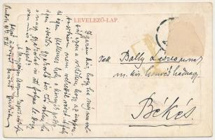 1916 Pankota, Pancota; Községháza. W.L. Bp. 5424. / town hall (Rb)