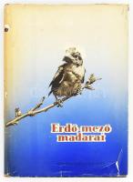 Vertse Albert: Erdő-mező madarai. Ifj. Tildy Zoltán fényképeivel. Bp., 1959, Mezőgazdasági Kiadó. Harmadik, átdolgozott kiadás. Fekete-fehér fotókkal illusztrálva. Kiadói félvászon-kötés, szakadt kiadói papír védőborítóban.