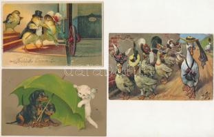 5 db RÉGI állatos motívum képeslap, közte litho / 5 pre-1945 animal motive postcards, some litho