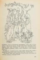 Benedek Elek: Magyar mese- és mondavilág. I. köt.: A csodaszarvas. Reich Károly illusztrációival. Bp...