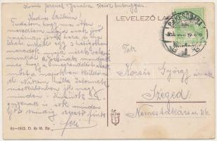 Temesvár, Timisoara; utca, drogéria, üzletek / street view, drugstore, shops (fl)