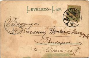 1905 Temesvár, Timisoara; Józsefvárosi zárda, montázs lovaskocsival / nunnery, montage with horse-dr...