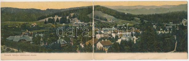 1907 Borszék, Borsec; látkép, bükkhavasi részlet. Soós kiadása. 2-részes kihajtható panorámalap / general view. 2-tiled folding panoramacard (hajtásnál szakadt / torn at fold)