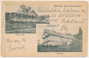 1904 Borszék, Borsec; Emausz villa, Pax villa / villas (EM)