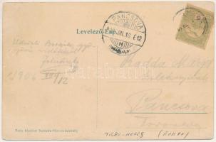 1906 Borszék, Borsec; Villa Duatori, Szerpentin úti részlet. Soós kiadása / villa, road. Art Nouveau...