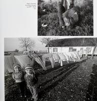 Bahget Iskander: Egy marék világ. / A Handful of World. Kecskemét, 2012, magánkiadás. Gazdag fotóany...