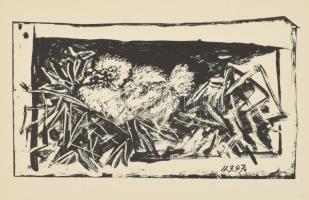 Konrad Farner: Picassos Taube. 12 Lithographien. Drezda, 1956, VEB Verlag der Kunst. Német nyelven. ...