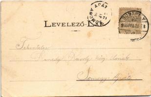 1905 Balatonberény, villatelep. Neumark Adolf kiadása (EB)